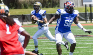 Cardinals win North-South football classic over Bears with goal line stand in OT